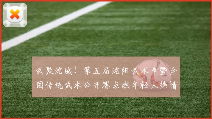 武聚沈城！第五届沈阳武术节暨全国传统武术公开赛点燃年轻人热情